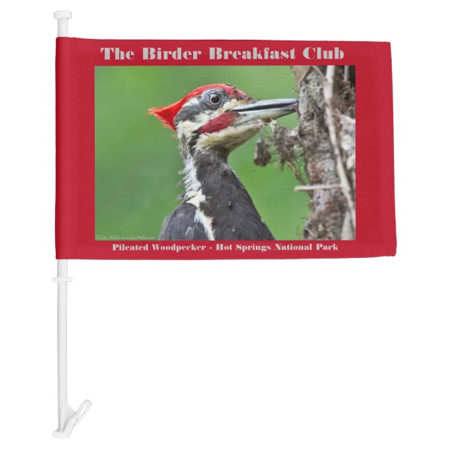Nature Photography Pileated Woodpecker Birder Car Flag (Front)