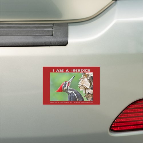 Nature Photography Pileated Woodpecker Birder Car Magnet