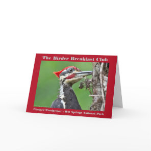 Nature Photography Pileated Woodpecker Birder Card