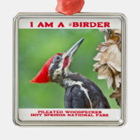 Nature Photography Pileated Woodpecker Birder