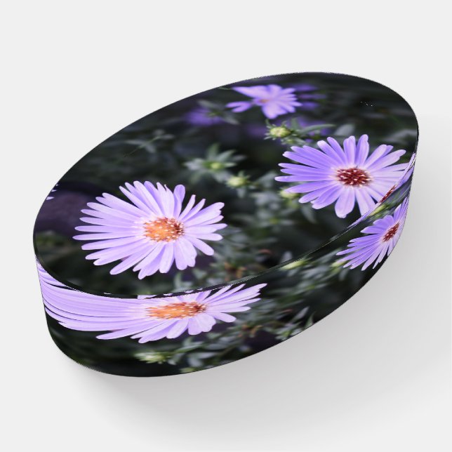 Nature Photography Purple Garden Flowers Floral Paperweight (Angled)