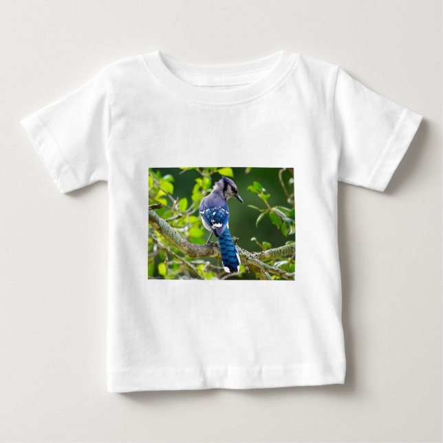 Nature Photography Shy Blue Jay Apparel Gifts Baby T-Shirt (Front)
