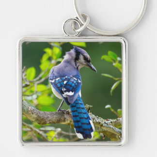 Nature Photography Shy Blue Jay Apparel Gifts Keychain