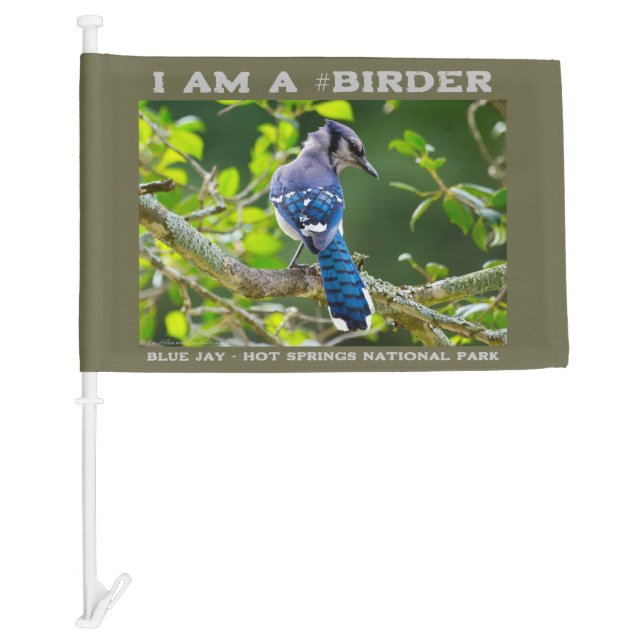Nature Photography Shy Blue Jay Birder  Car Flag (Front)