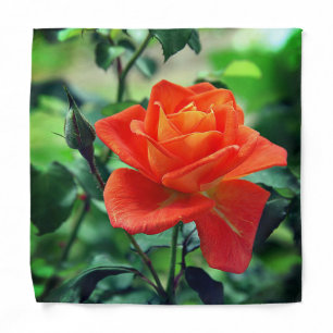 Nature Pink Flower-46458 Bandana