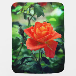 Nature Pink Rose Flower-46458 Baby Blanket