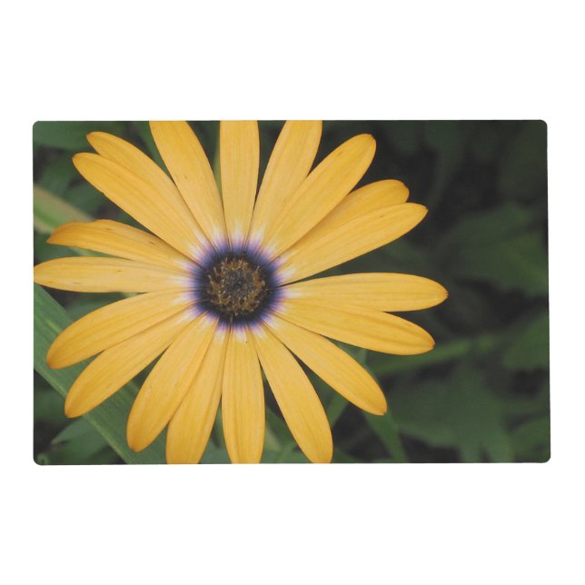 Nature Placemat (Back)