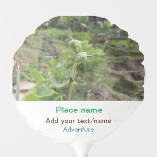 Nature plants photography beach water travel name balloon