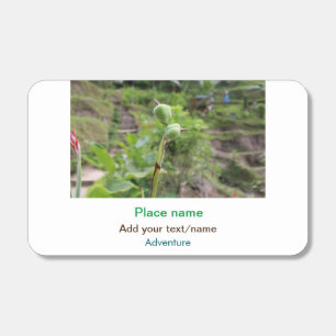 Nature plants photography beach water travel name matchboxes