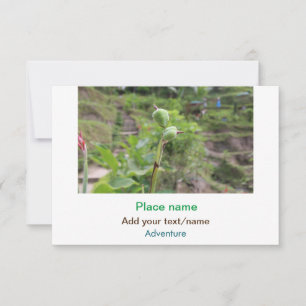 Nature plants photography beach water travel name note card