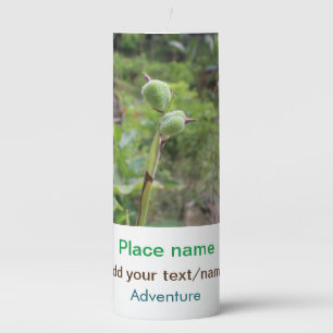 Nature plants photography beach water travel name pillar candle