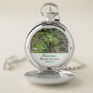Nature plants photography beach water travel name pocket watch