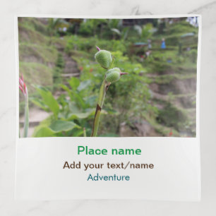 Nature plants photography beach water travel name trinket tray