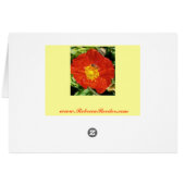 Nature Poetry Poppy (Back Horizontal)