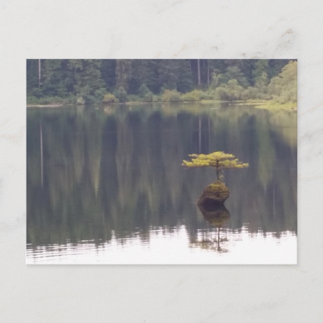 Nature Postcard (Front)