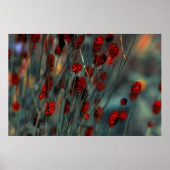 Nature Poster by Madddy at Zazzle