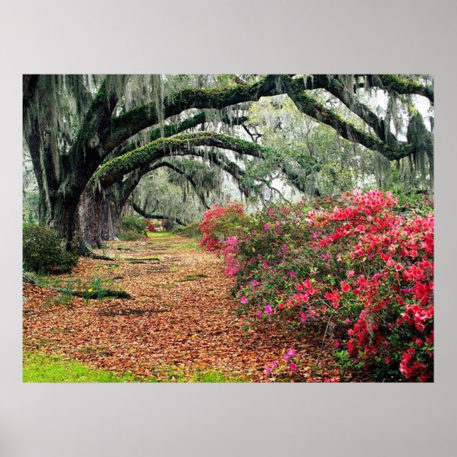 Nature Poster (Front)