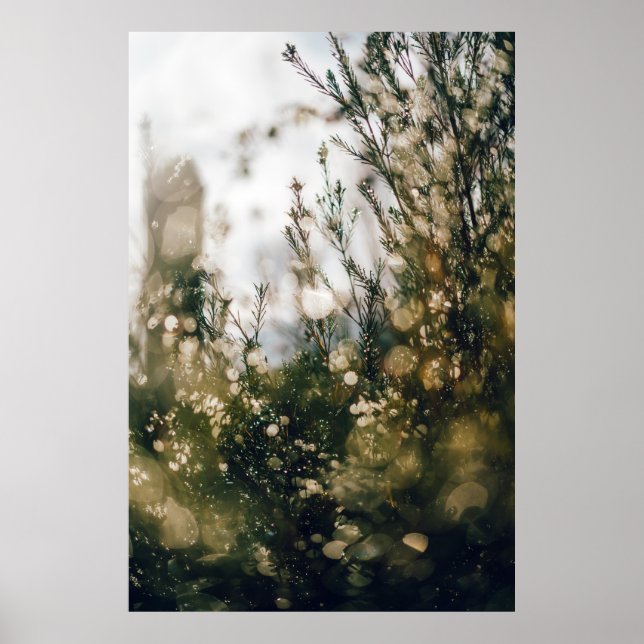 NATURE  POSTER (Front)