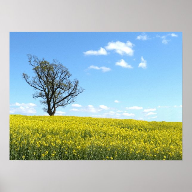 Nature Poster (Front)