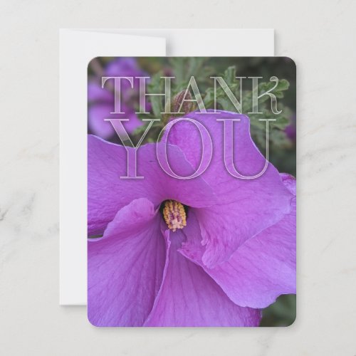 Nature Purple Hibiscus Flower Thank You