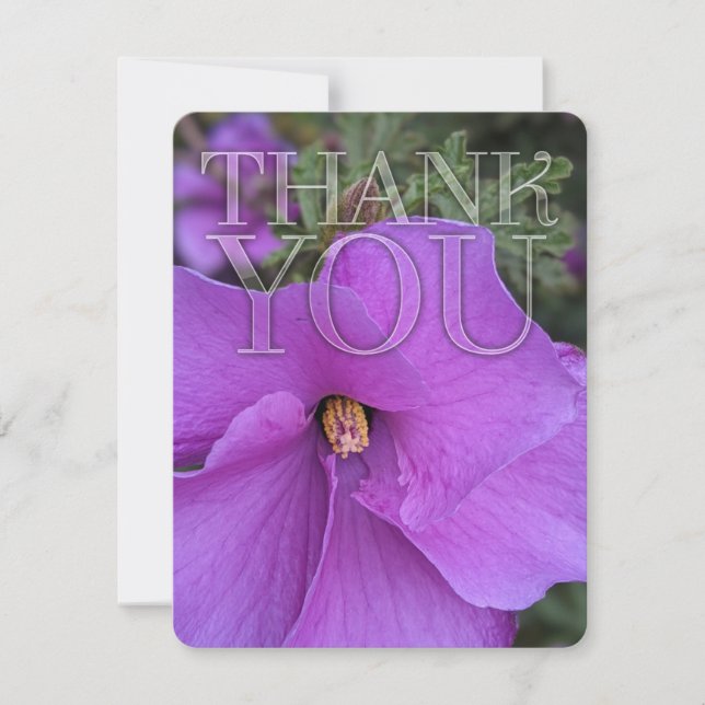 Nature Purple Hibiscus Flower Thank You Card (Front)