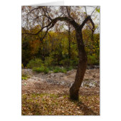 Nature Reaching Out (Front)