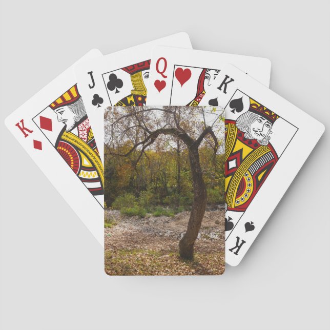 Nature Reaching Out Poker Cards (Back)
