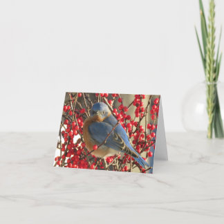 Nature Red Berries and Blue Songbird Thank You Card
