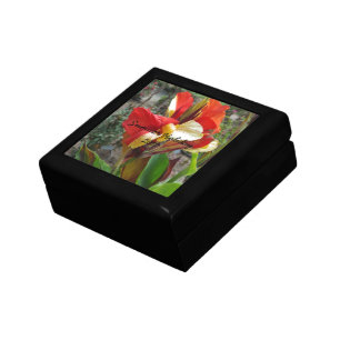Nature Red Flower Floral Photography Gift Box