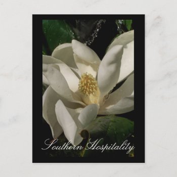 Nature Refreshes Postcard by DanceswithCats at Zazzle