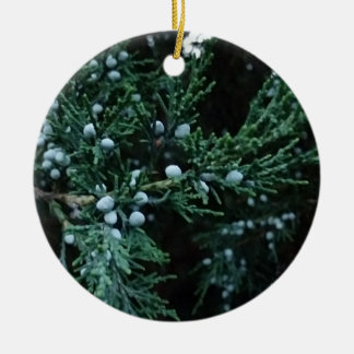 Nature Ripening Juniper Berries Ceramic Ornament