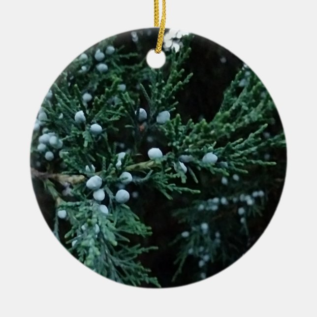 Nature Ripening Juniper Berries Ceramic Ornament (Front)