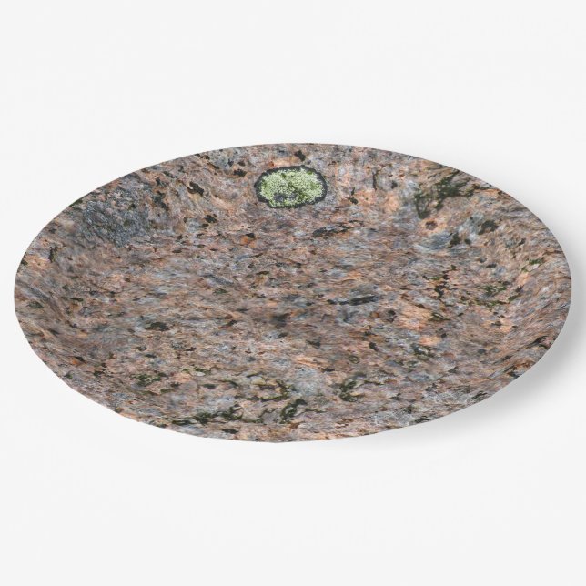 Nature Rock Photo Geology Texture Paper Plates (Angled)