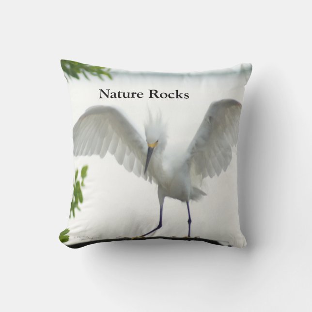 Nature Rocks Egret Throw Pillow (Front)