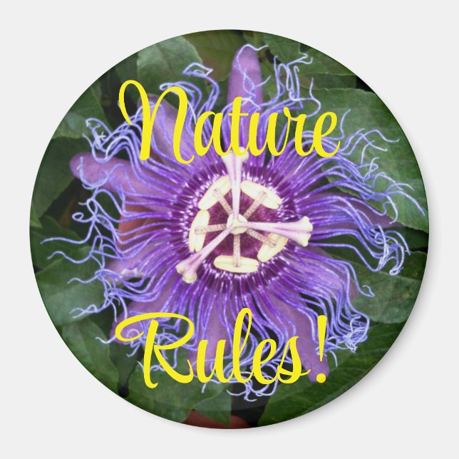 Nature Rules Purple Passionflower Close Up Magnet (Front)