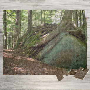 Nature’s Resilience Tree on Boulder Photographic Jigsaw Puzzle