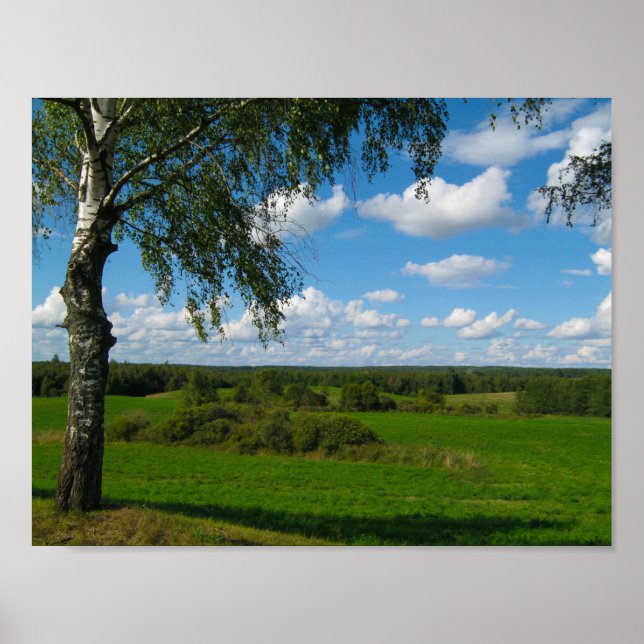 Nature Scenery Landscape Meadow Belarus Poster (Front)