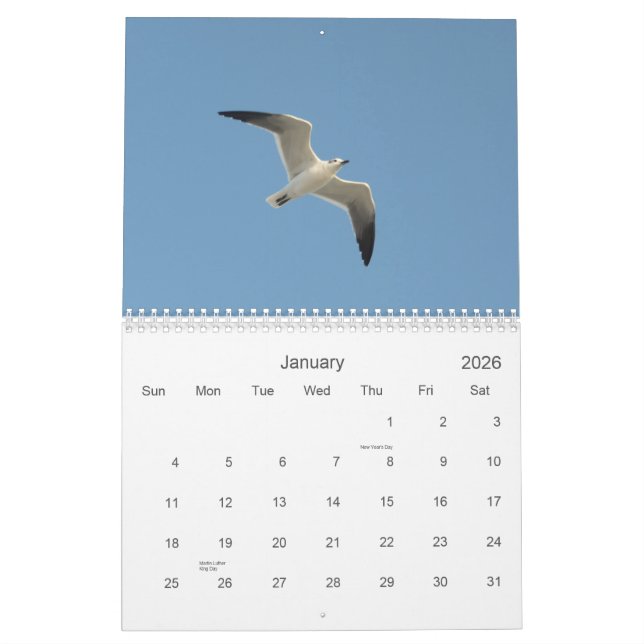 Nature Scenes 2015 Calendar (Jan 2026)