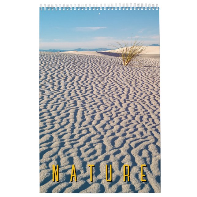 Nature Scenes  Calendar (Cover)
