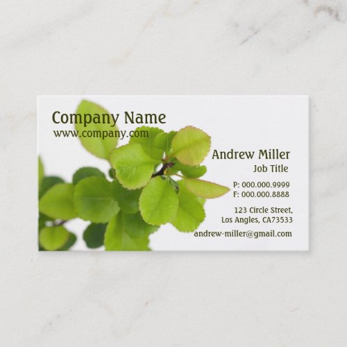 Nature Simplicity l Green Leaves Business Cards