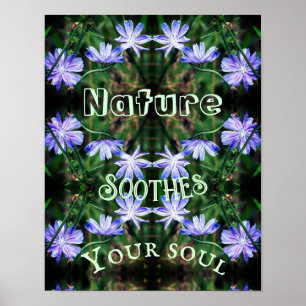 Nature Soothes Wild Chicory Inspirational Poster