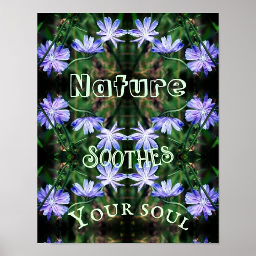 Nature Soothes Wild Chicory Inspirational   Poster