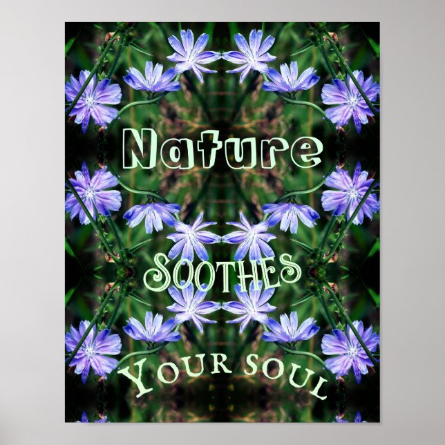 Nature Soothes Wild Chicory Inspirational   Poster (Front)