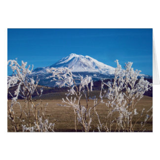 Nature Speaks Book Cover Image Cards
