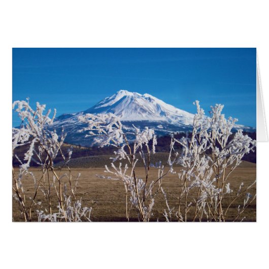 Nature Speaks Book Cover Image Cards (Front Horizontal)