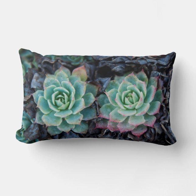 Nature succulent texture Lumbar Pillow (Front)