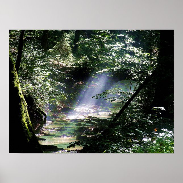 Nature Sunlight Through Trees On Creek Poster (Front)