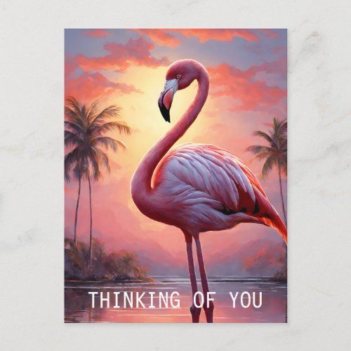 Nature Sunset Pink Flamingo Vintage Postcard