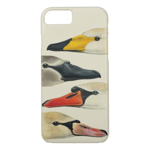 Nature The Many Faces of a Swan iPhone 87 Case