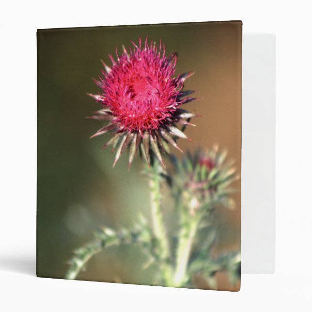 Nature | Thistle 3 Ring Binder (Front/Inside)